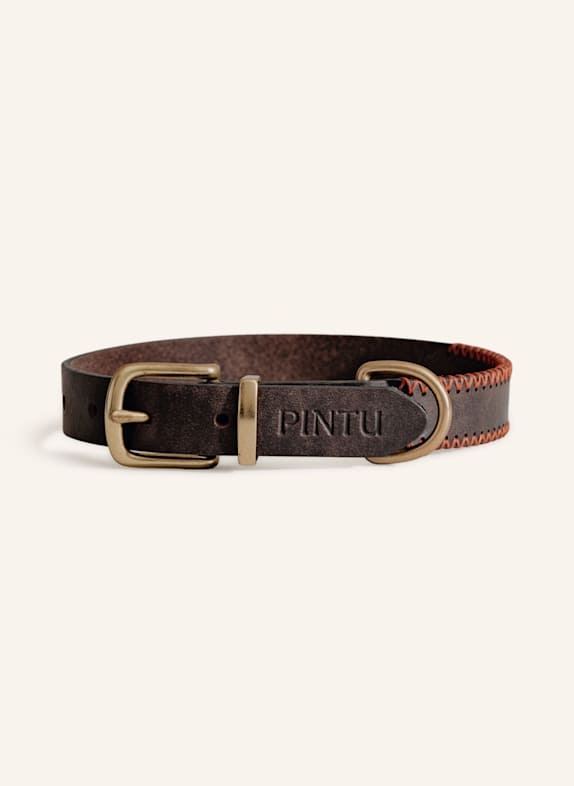 Pintu Hundehalsband PORTHOS mit Beschlag aus Messing BRAUN/ ORANGE