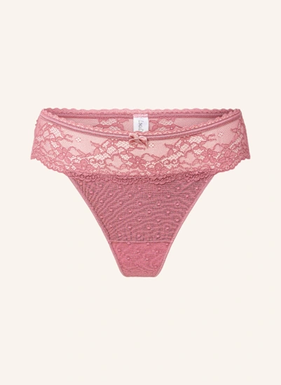 LINGADORE DAILY String