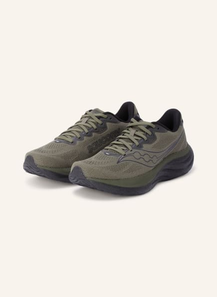 saucony Pantofi de alergare RIDE 19