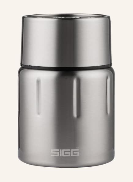 SIGG Thermobox GEMSTONE, Color: SILVER (Image 1)