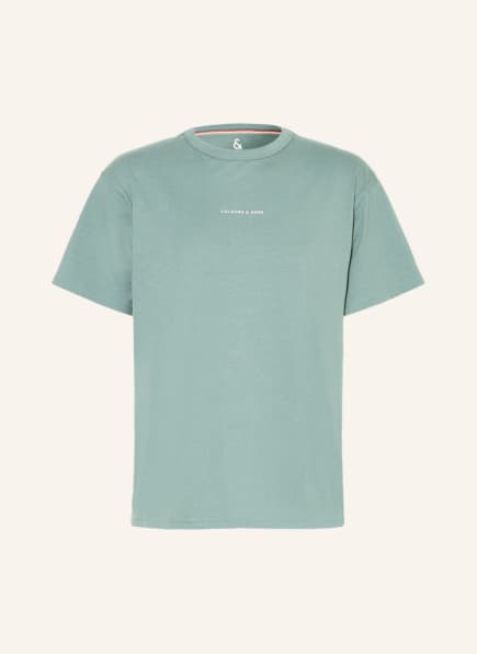 COLOURS & SONS T-shirt, Color: LIGHT GREEN (Image 1)