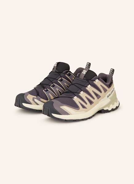 SALOMON Wandelschoenen XA PRO 3D V9 GTX