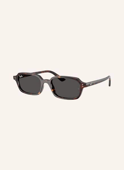Ray-Ban Sunglasses RB4455