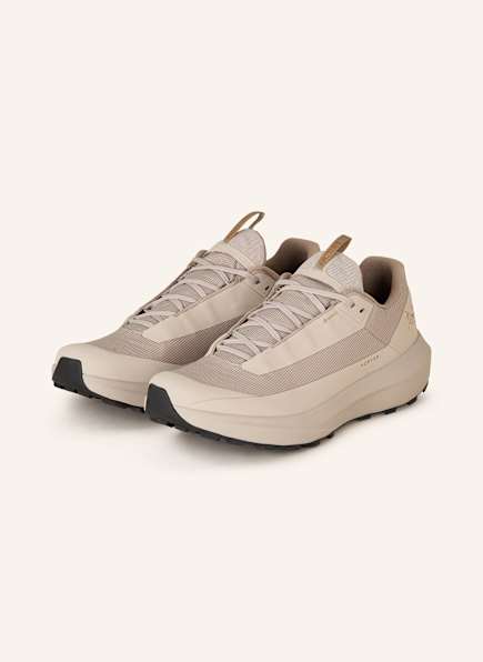 ARC'TERYX Trailrunning-Schuhe NORVAN LD 4 GTX