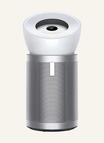 dyson HEPA BIG+QUIET™ BP02