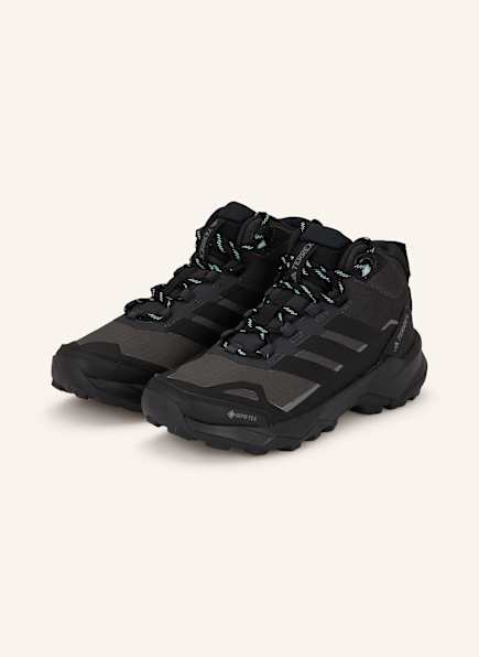 adidas TERREX Wanderschuhe TERREX SKYCHASER AX5 MID GTX
