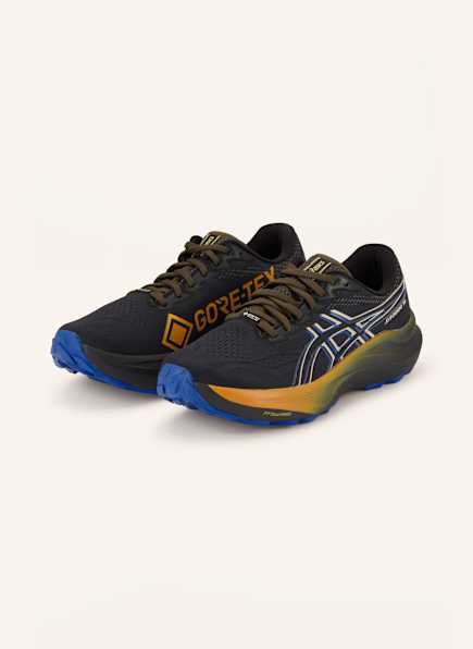ASICS Laufschuhe GT-2000 14 GTX
