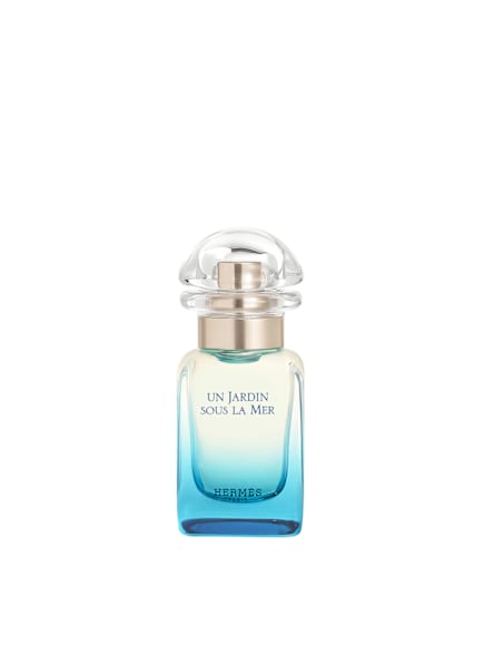 HERMÈS UN JARDIN SOUS LA MER