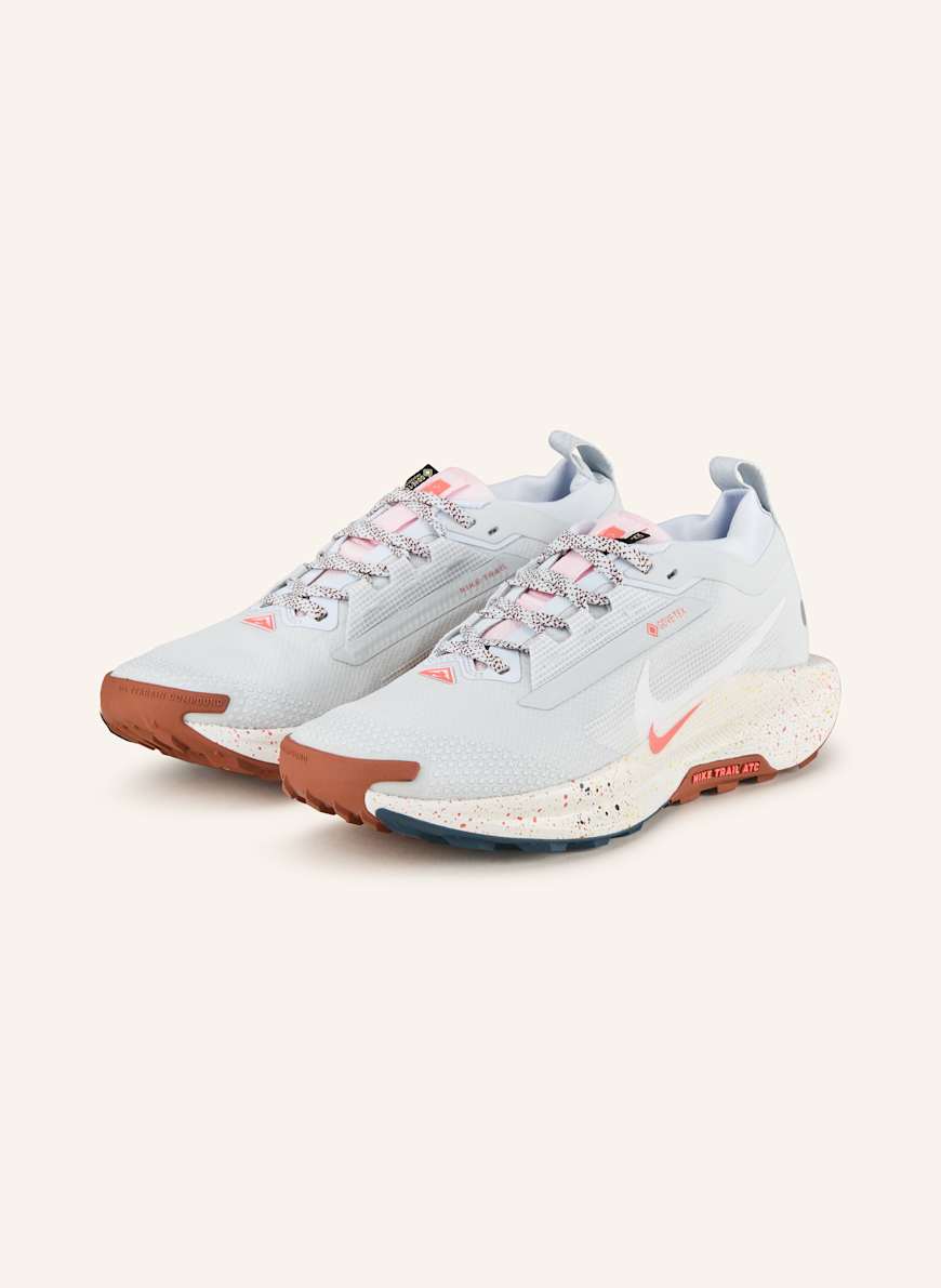 Nike Trailrunning-Schuhe PEGASUS TRAIL 5 GTX: HELLGRAU