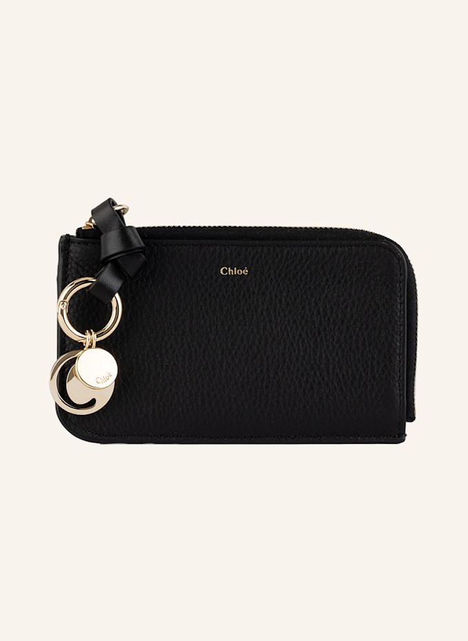 100120693513001_0_163163101797