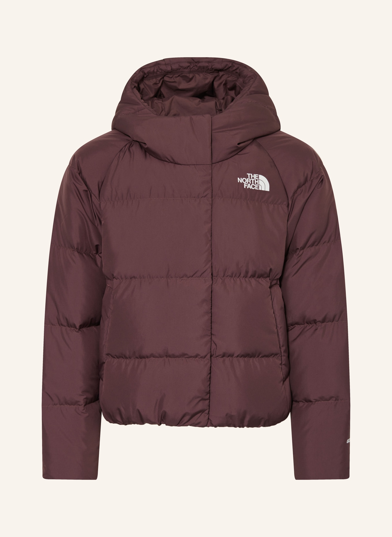 THE NORTH FACE Daunenjacke: LILA