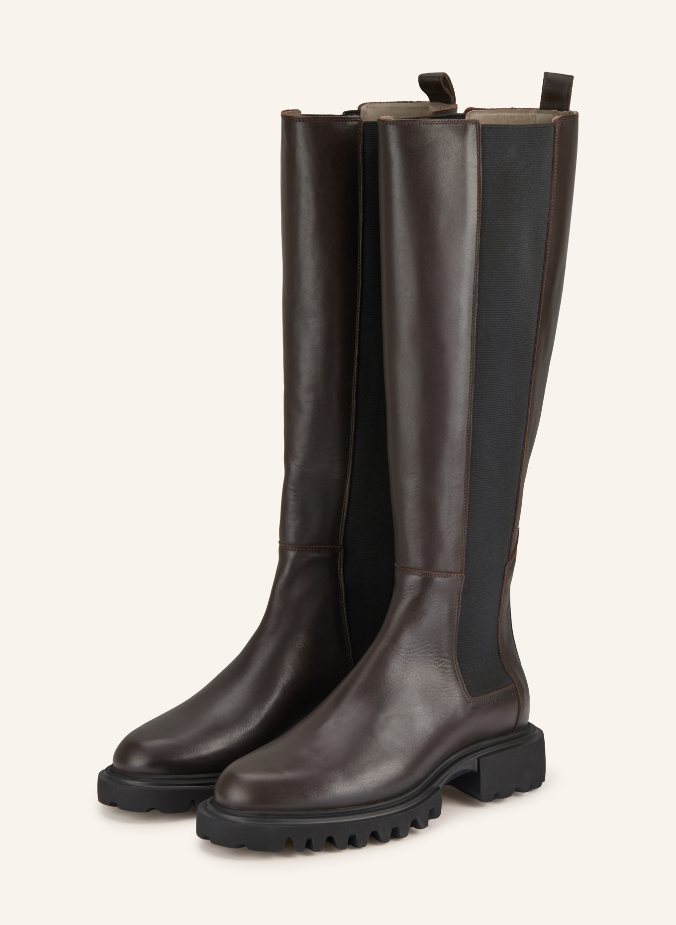 ALLSAINTS Stiefel MAEVE: DUNKELBRAUN