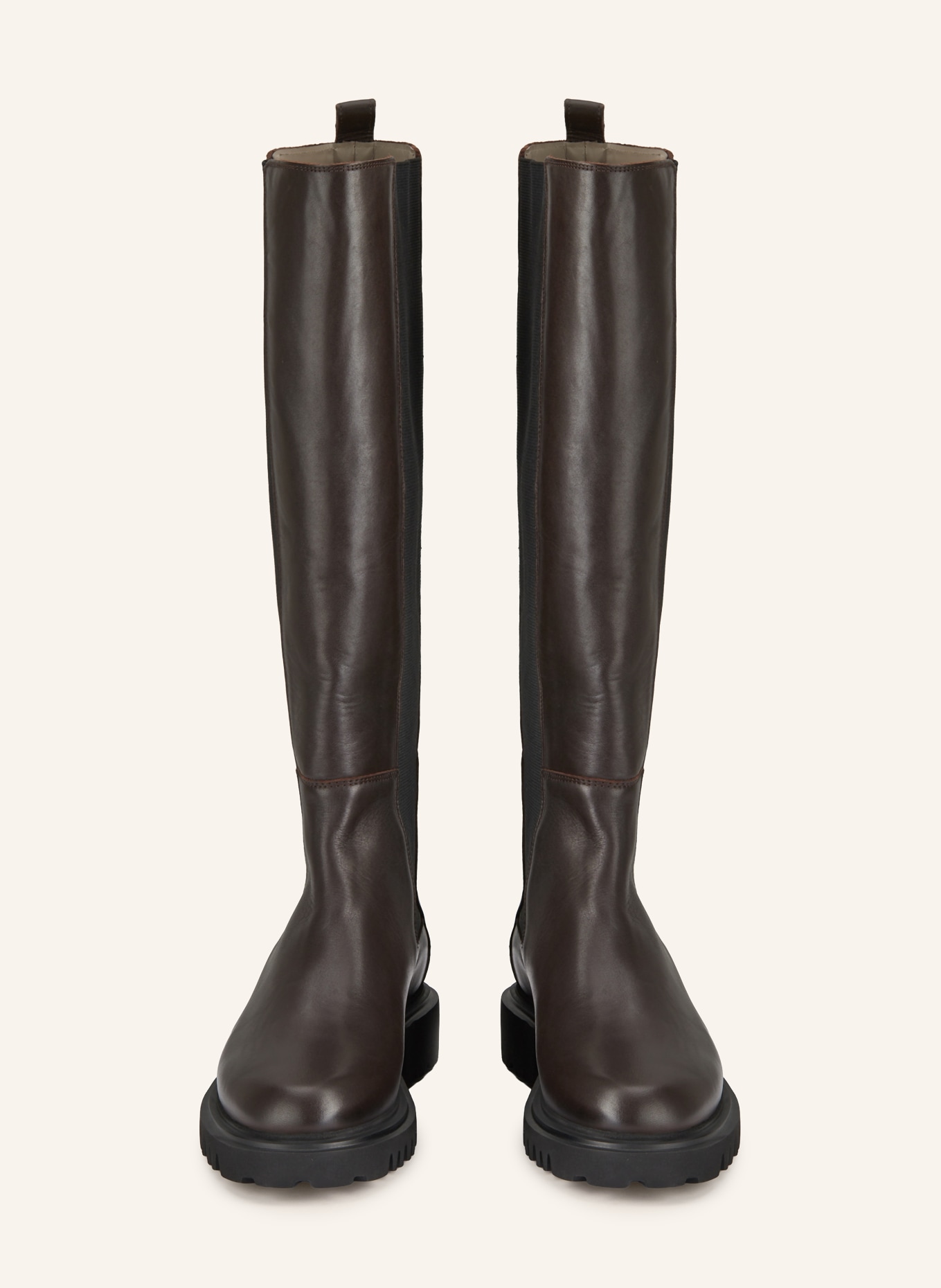 ALLSAINTS Stiefel MAEVE: DUNKELBRAUN