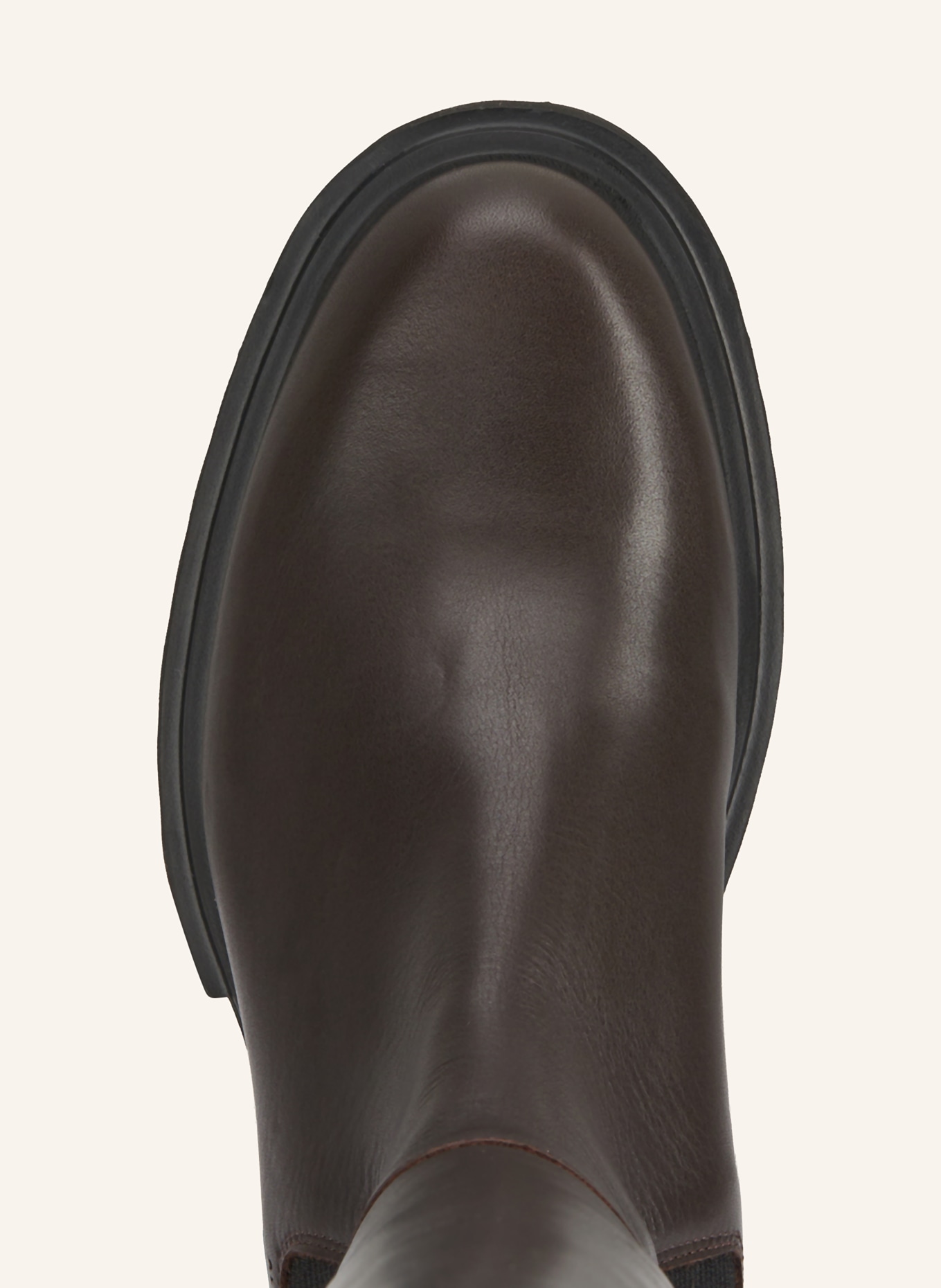 ALLSAINTS Stiefel MAEVE: DUNKELBRAUN