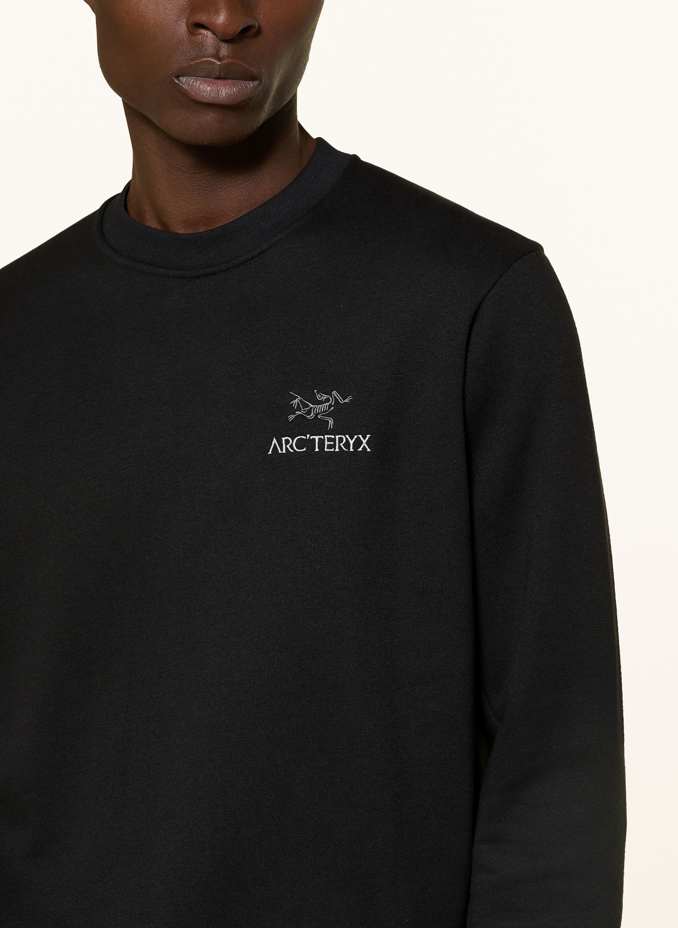 ARC'TERYX Sweatshirt: SCHWARZ