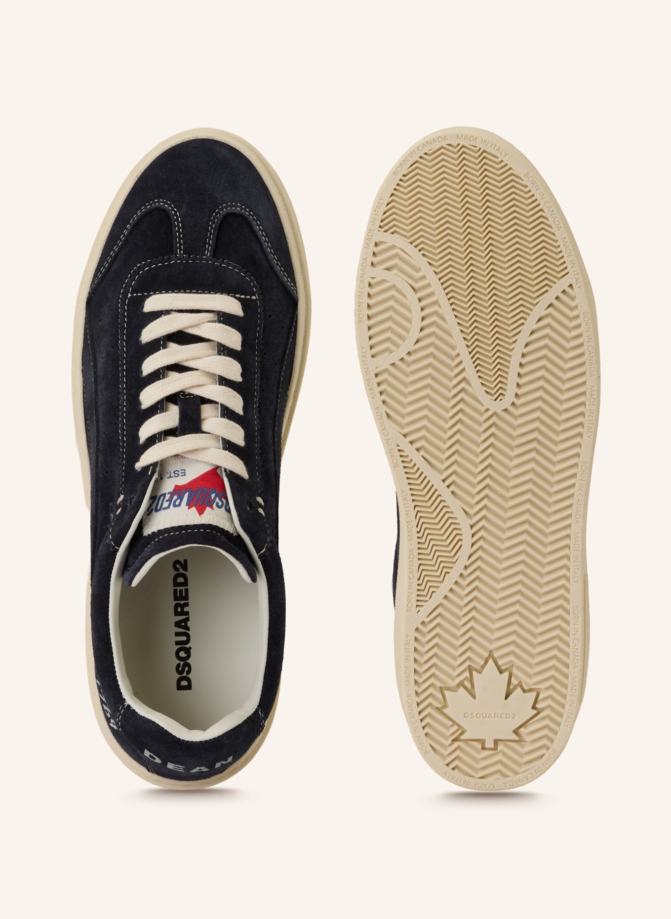 DSQUARED2 baskets: BLEU FONCÉ