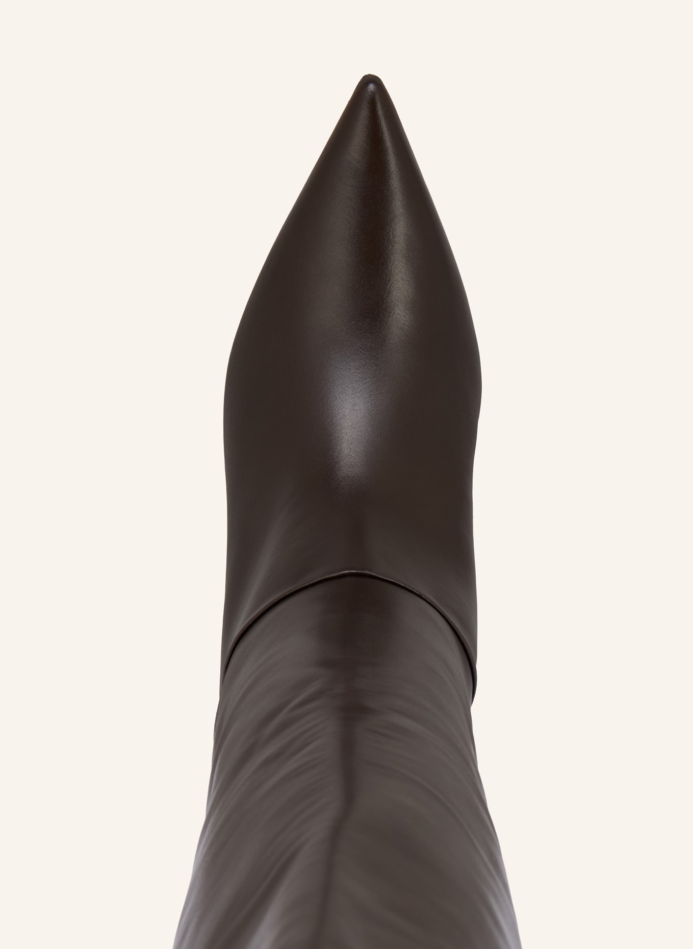 ALLSAINTS Stiefel ODYSSEY: DUNKELBRAUN / SCHWARZ