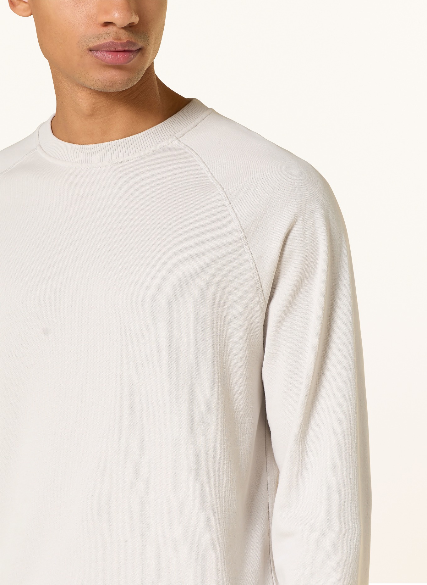 Juvia sweatshirt: LIGHT GRAY