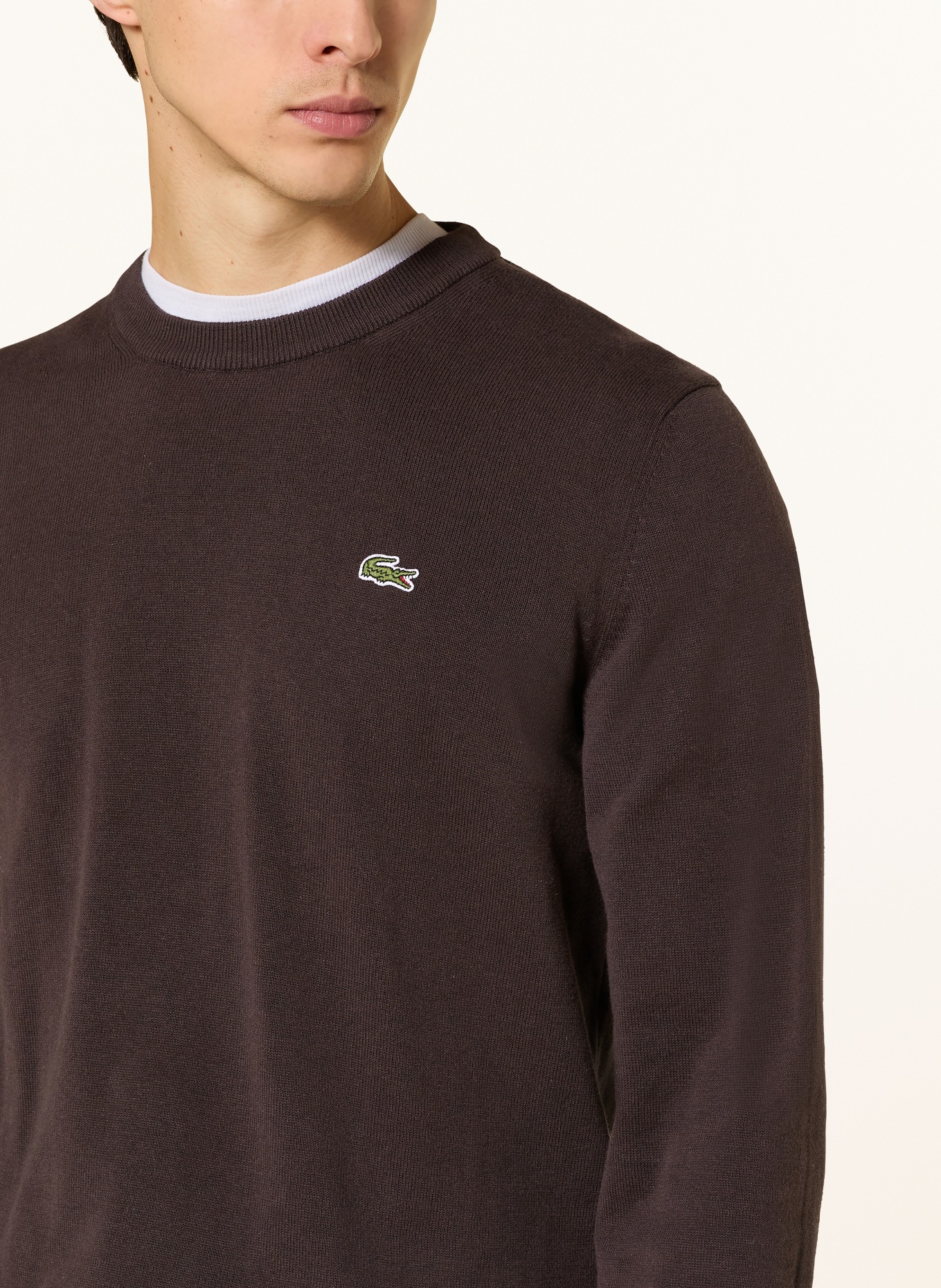 LACOSTE Svetr: TMAVĚ HNĚDÁ