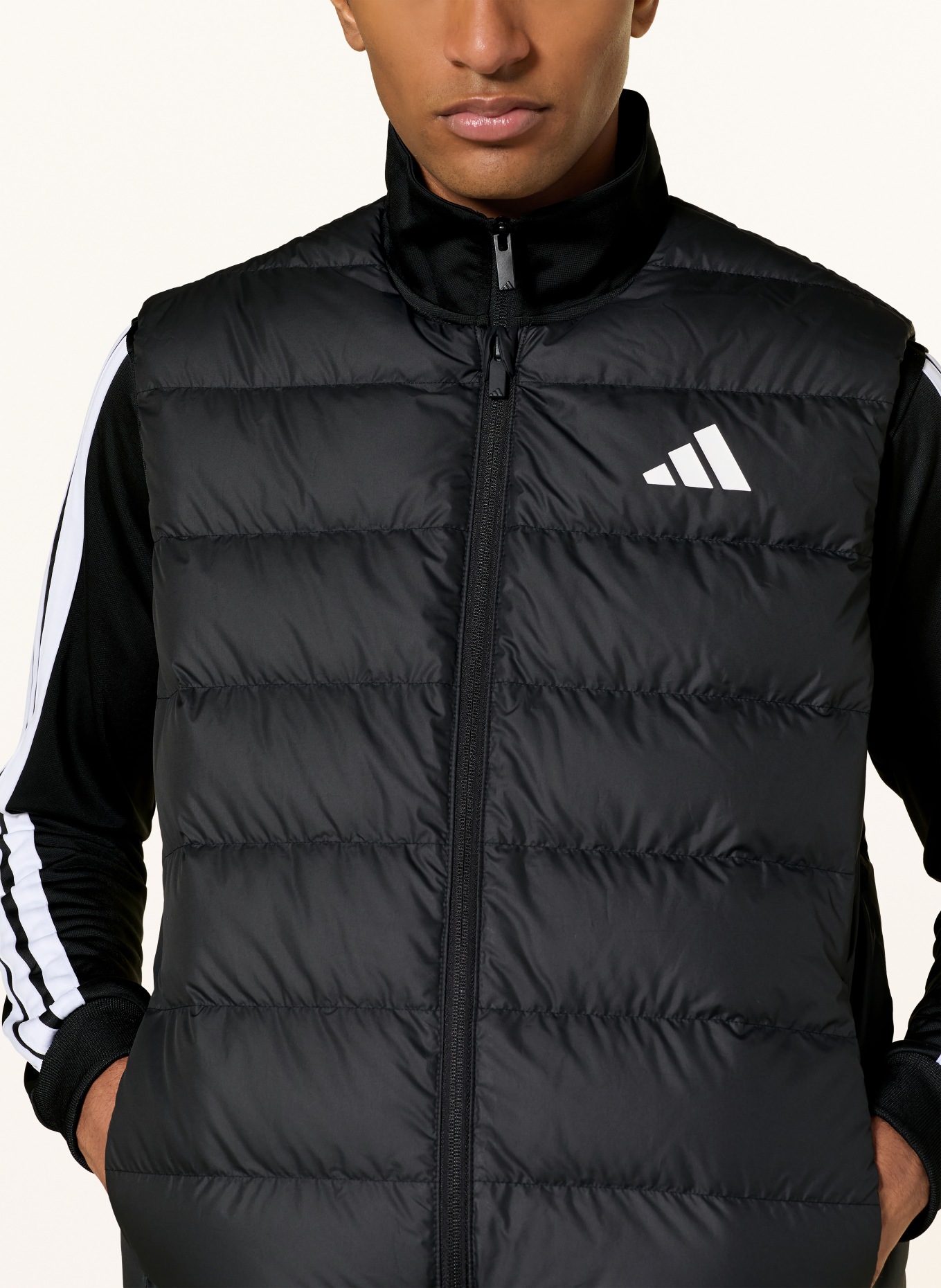 adidas Daunenweste: SCHWARZ