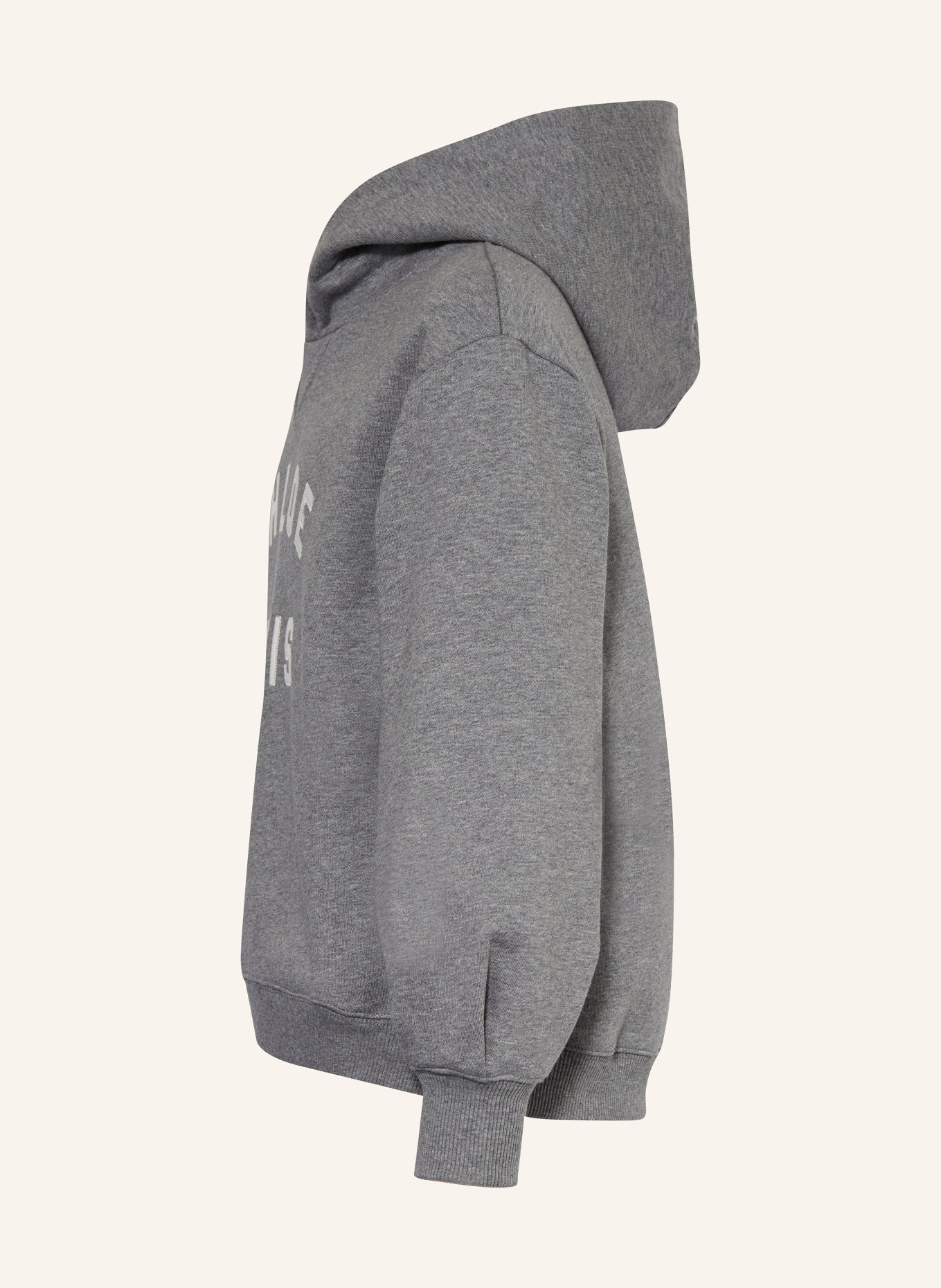 Chloé Hoodie: GRAU