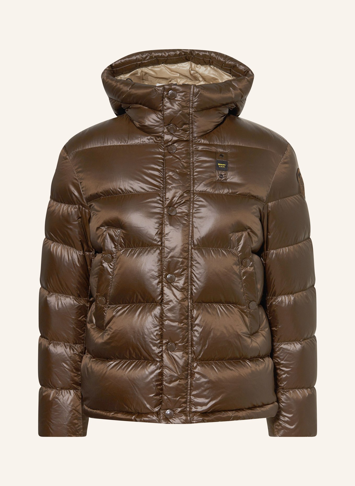 Blauer Daunenjacke CLIPPER: DUNKELBRAUN