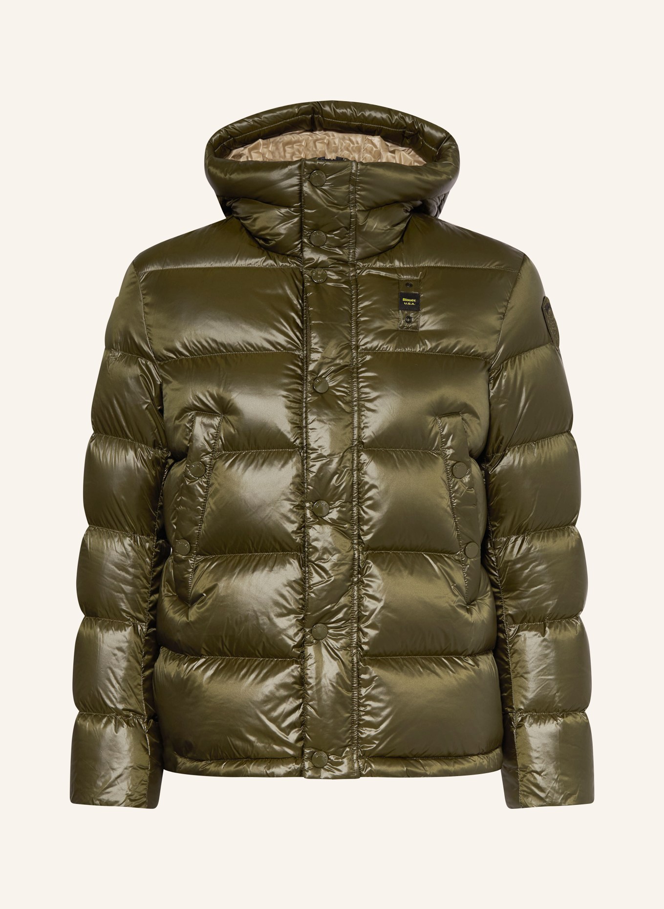 Blauer Daunenjacke CLIPPER: OLIV