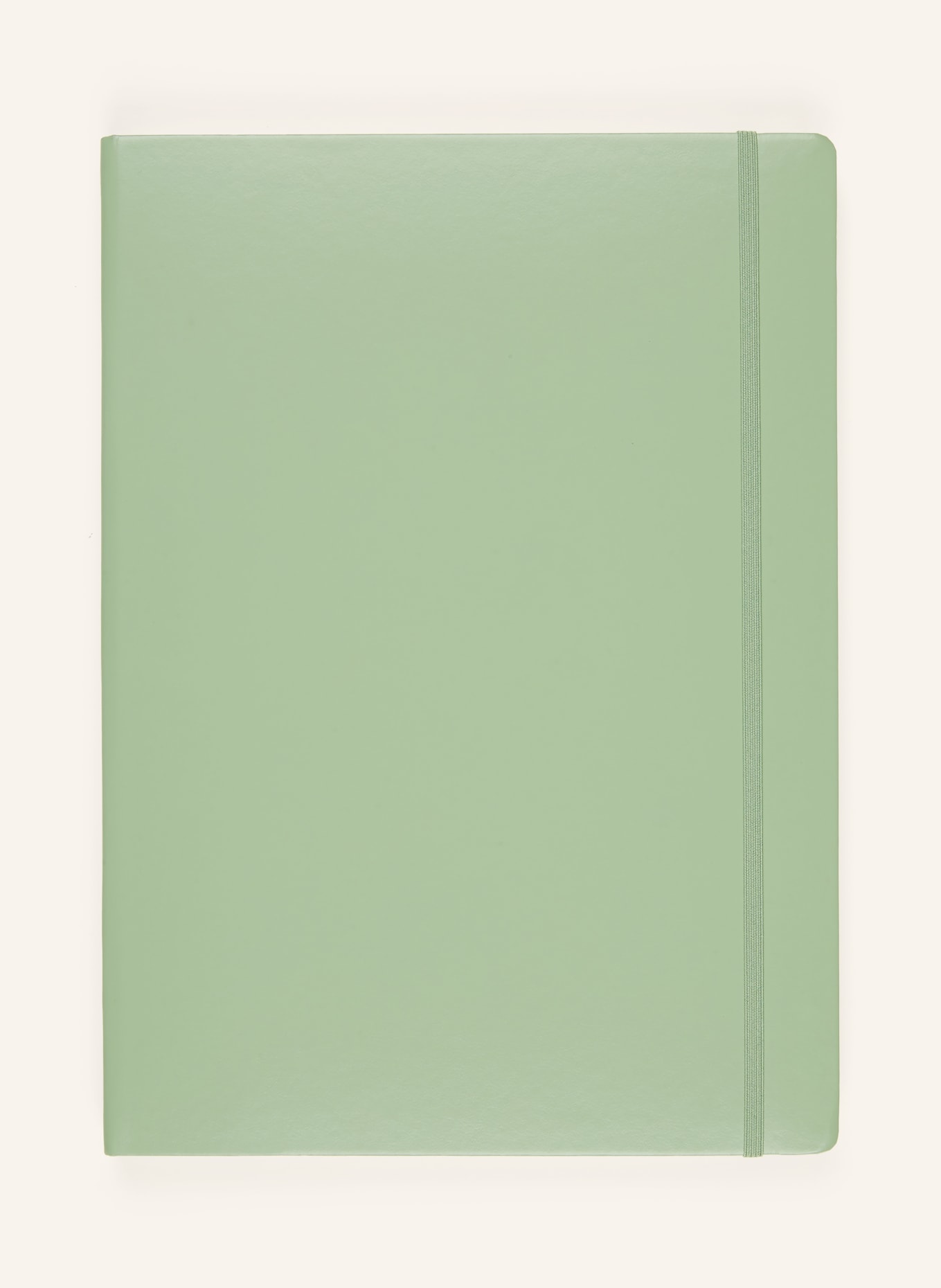 LEUCHTTURM Notizbuch: HELLGRÜN