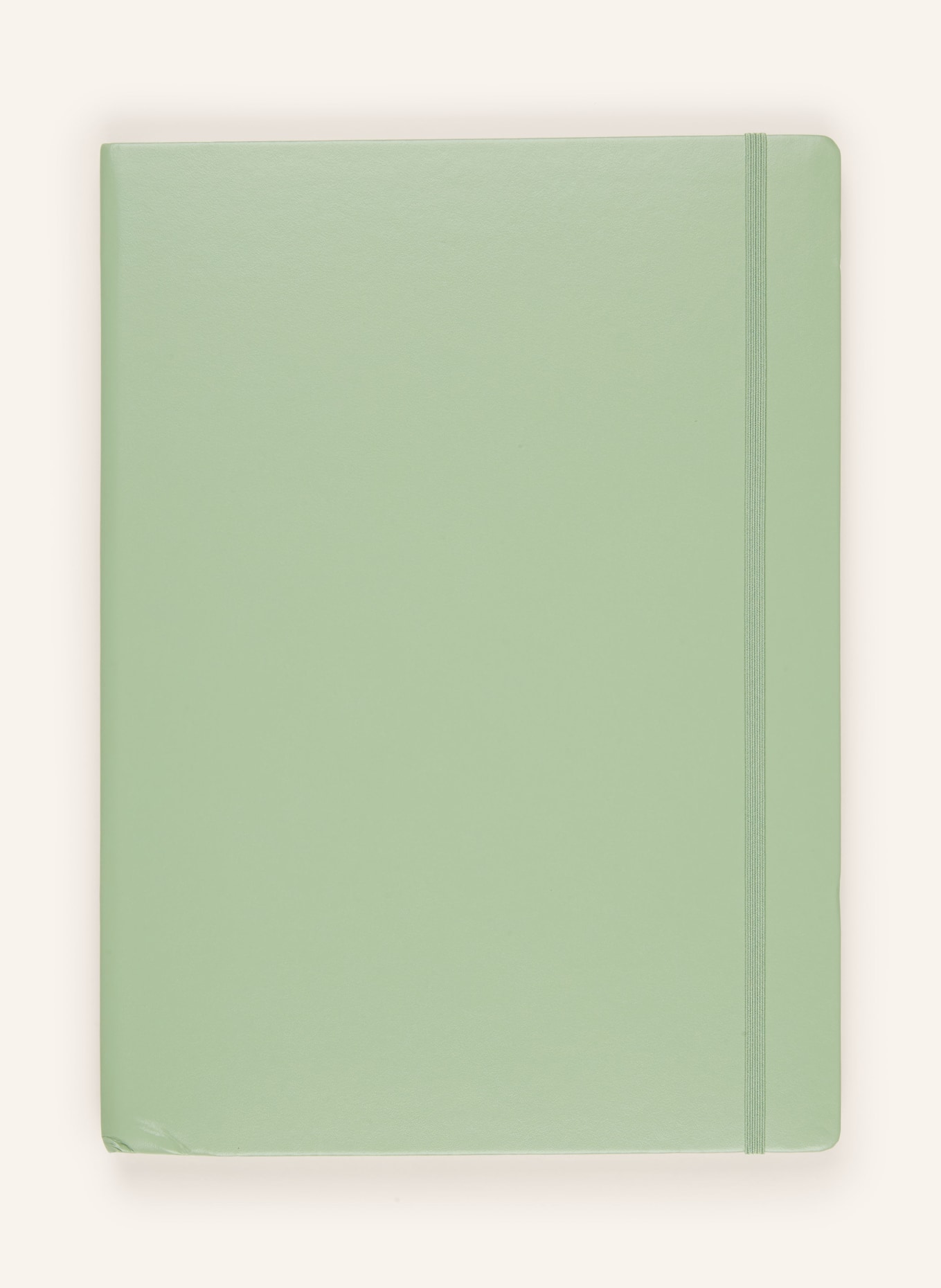 LEUCHTTURM Notizbuch MASTER SLIM: HELLGRÜN