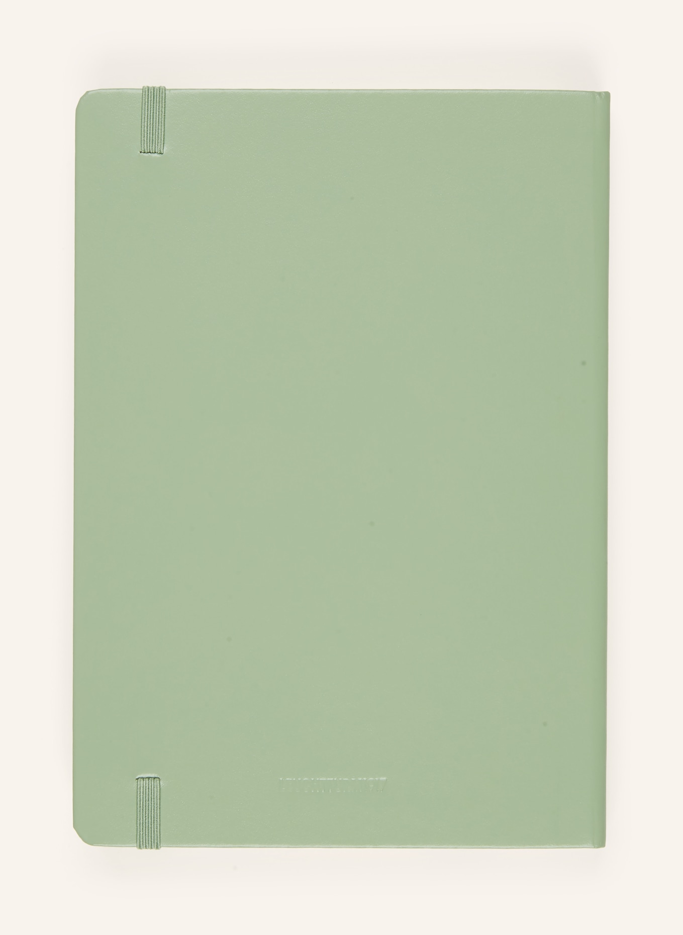LEUCHTTURM Notizbuch: HELLGRÜN