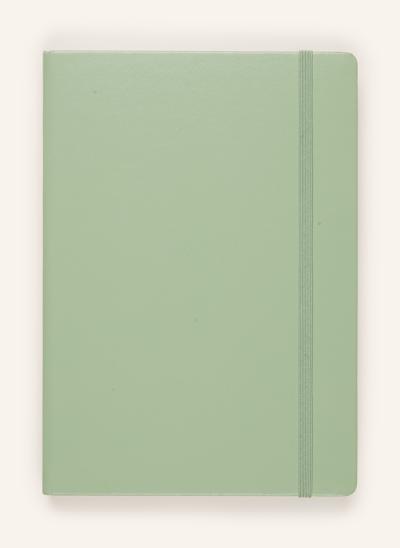 LEUCHTTURM Notizbuch EDITION 120 MEDIUM: HELLGRÜN