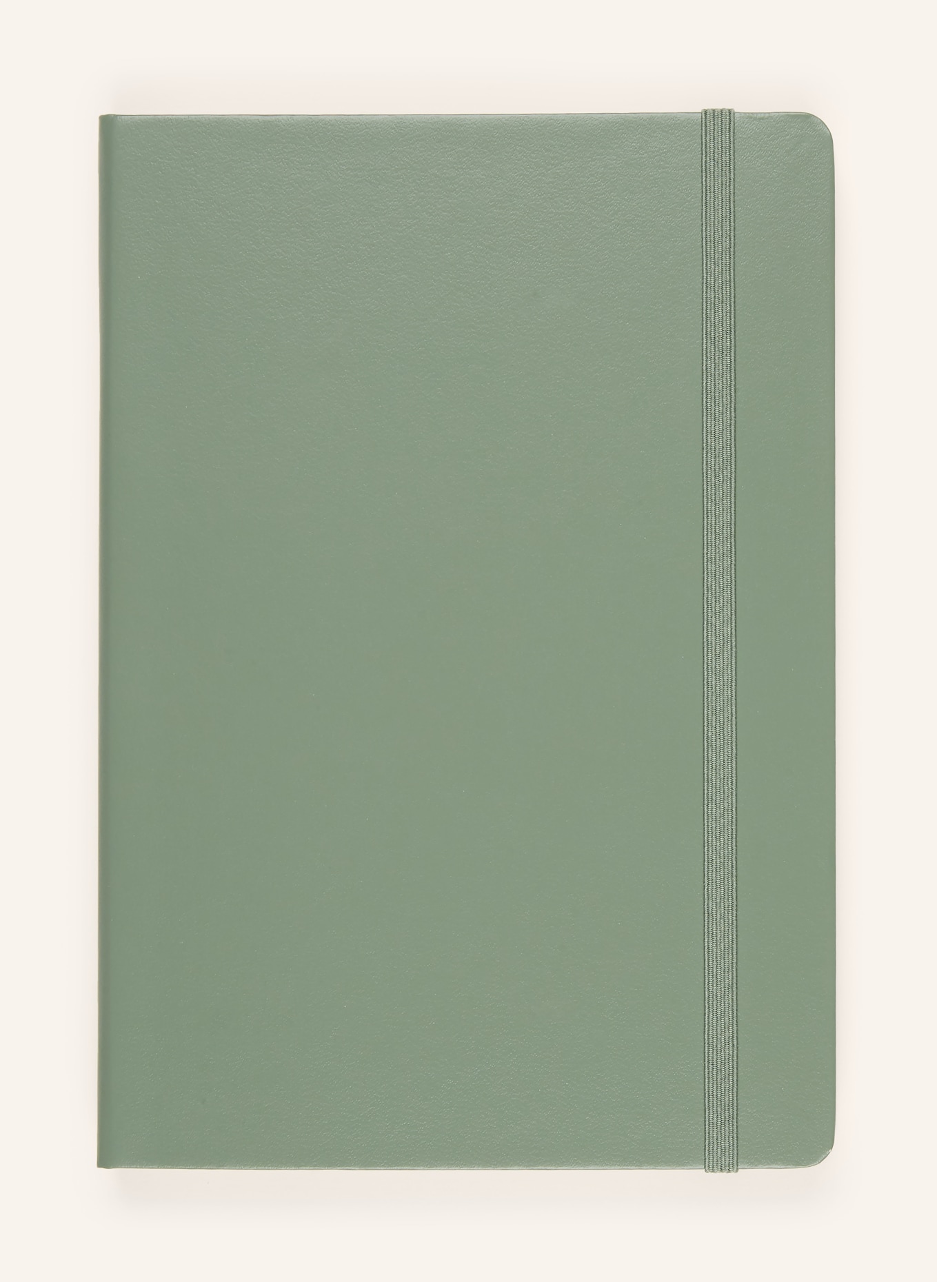 LEUCHTTURM Notizbuch: HELLGRÜN