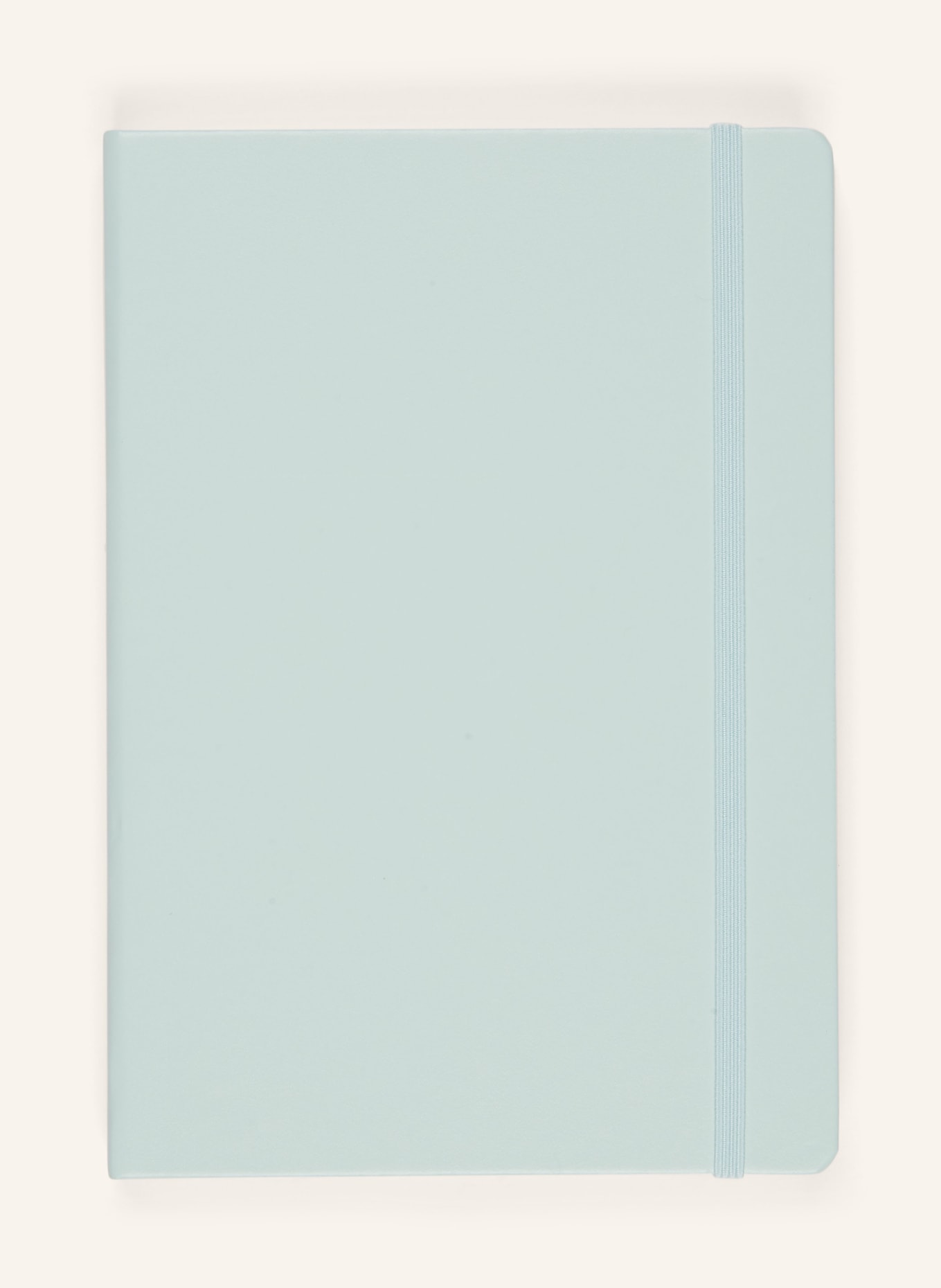 LEUCHTTURM Notizbuch MEDIUM: MINT