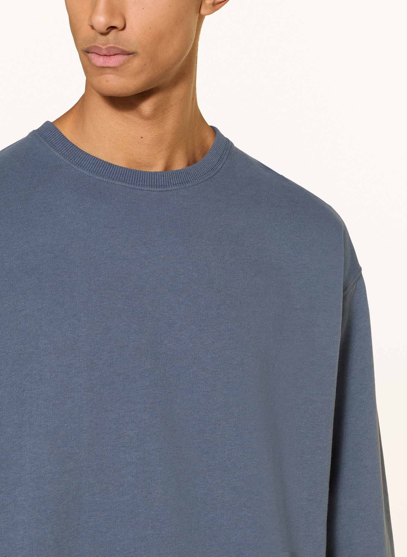 Juvia Sweatshirt: BLAUGRAU