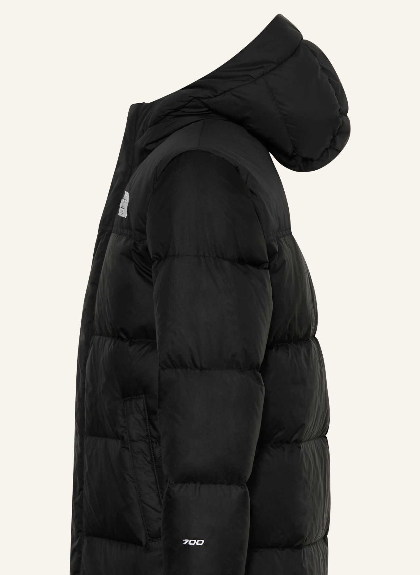 THE NORTH FACE Daunenmantel: SCHWARZ