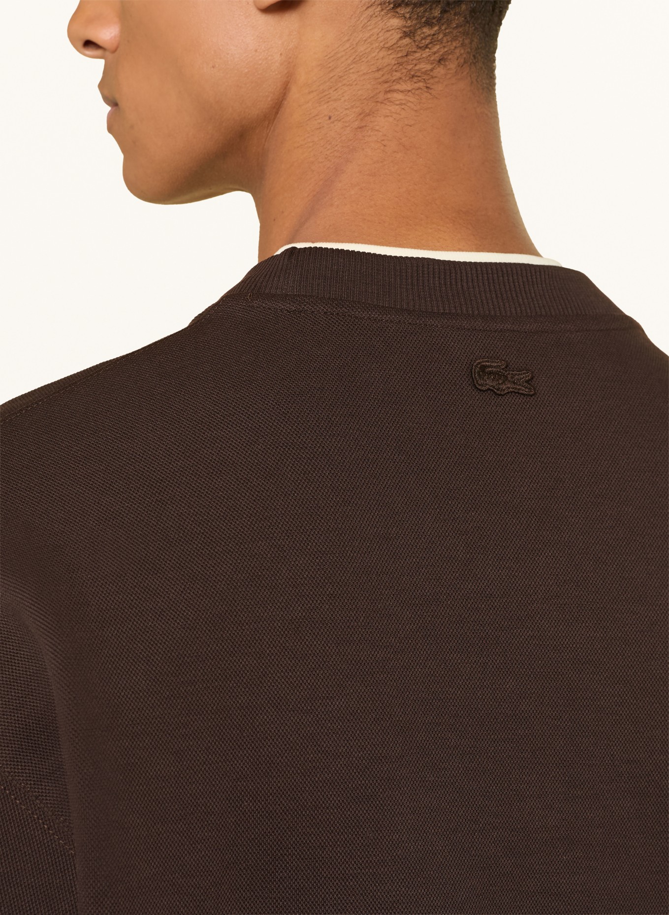 LACOSTE Sweatshirt: DUNKELBRAUN