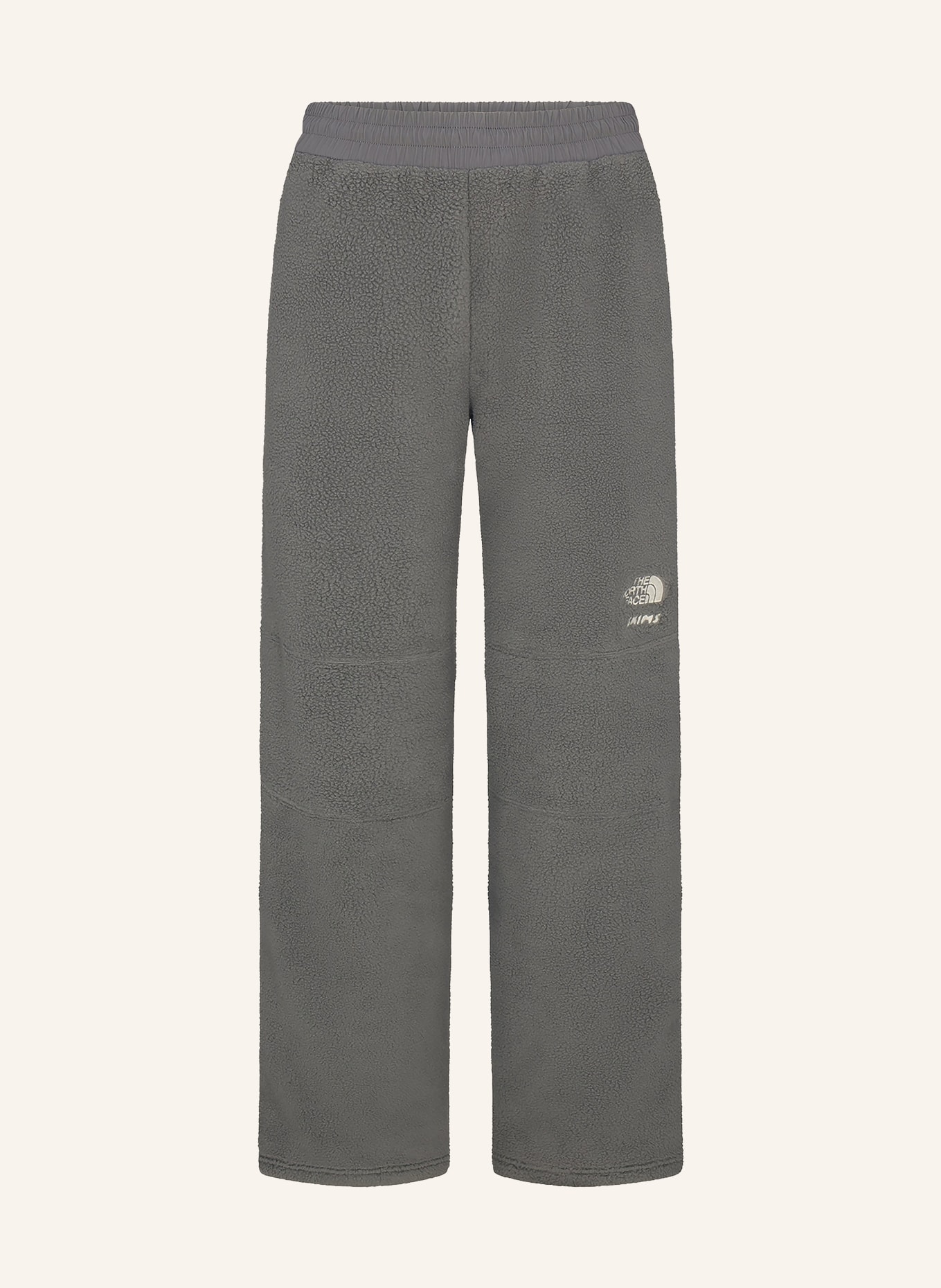 THE NORTH FACE x SKIMS TNF X PROJECT K 1995 RETRO DENALI fleece pants: T8L SK Gunmetal