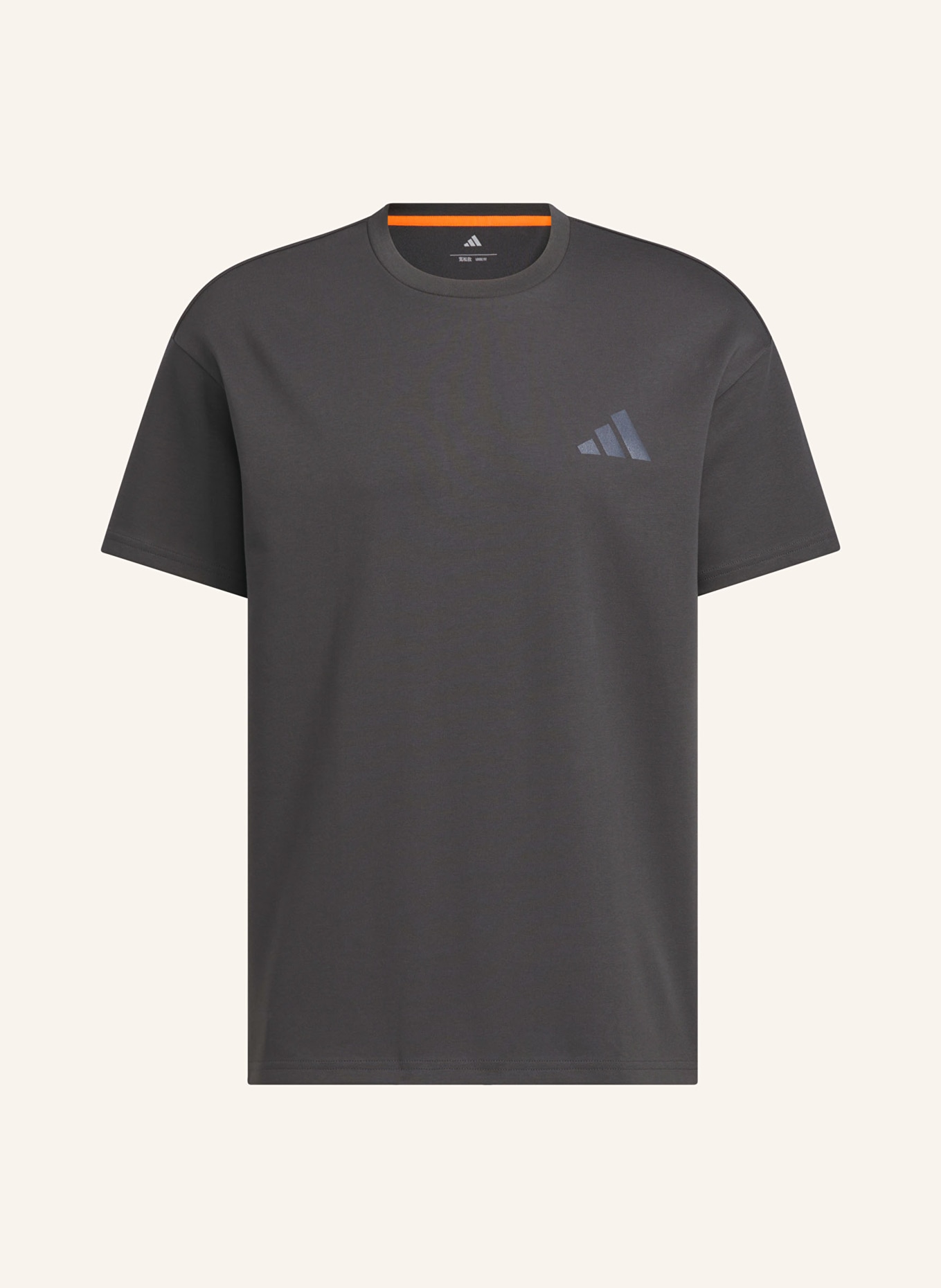 adidas TERREX T-Shirt GRAPHIC: DUNKELGRAU
