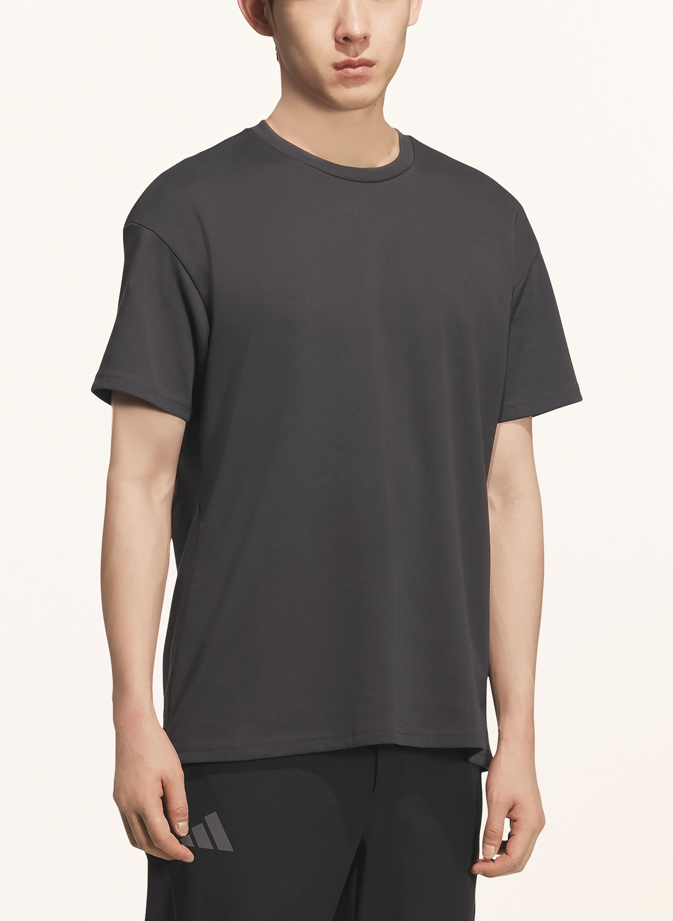 adidas TERREX T-Shirt GRAPHIC: DUNKELGRAU