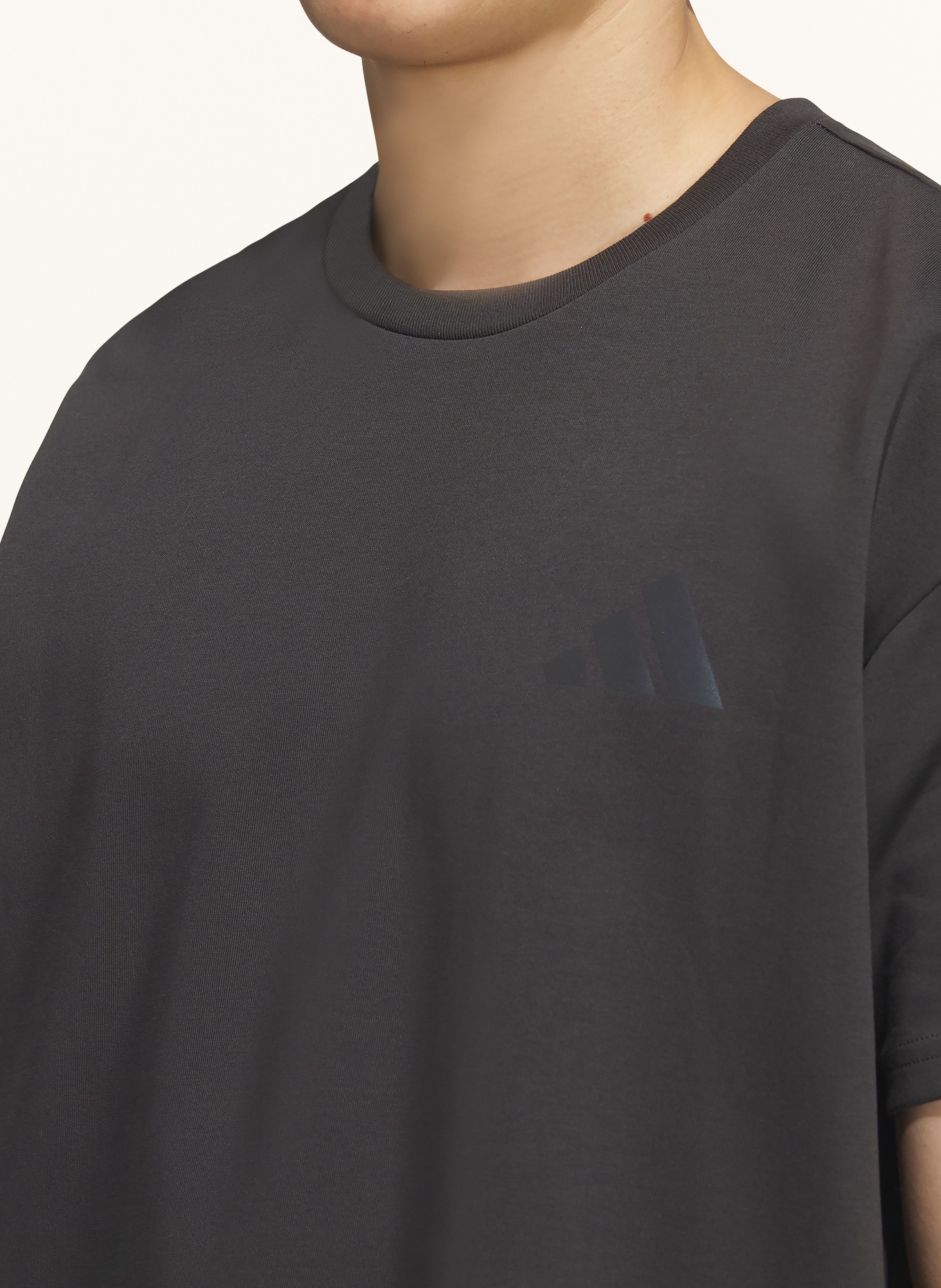 adidas TERREX T-Shirt GRAPHIC: DUNKELGRAU