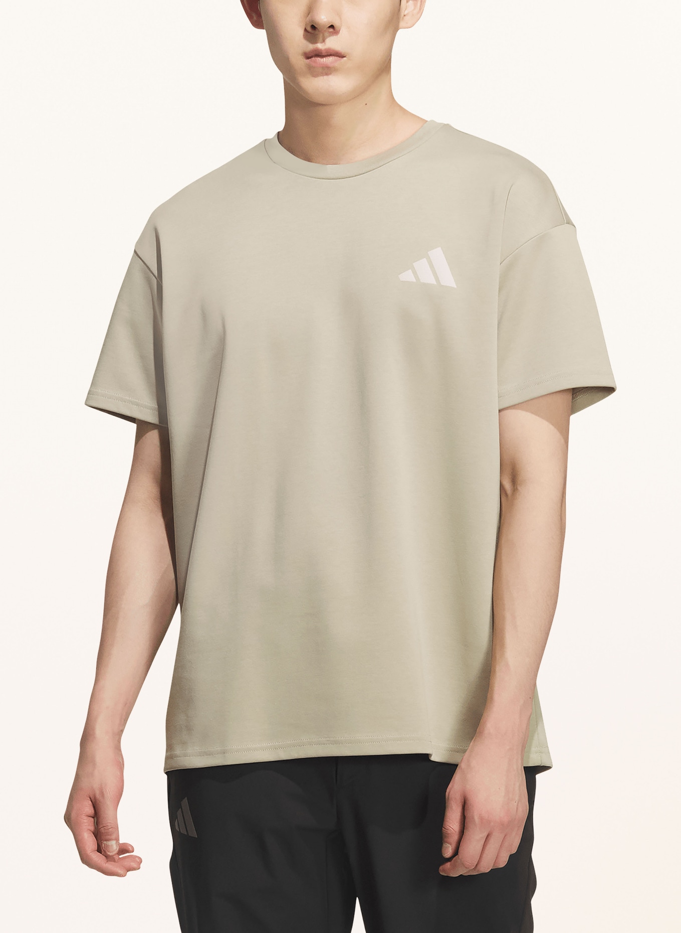 adidas TERREX T-Shirt GRAPHIC: BEIGE
