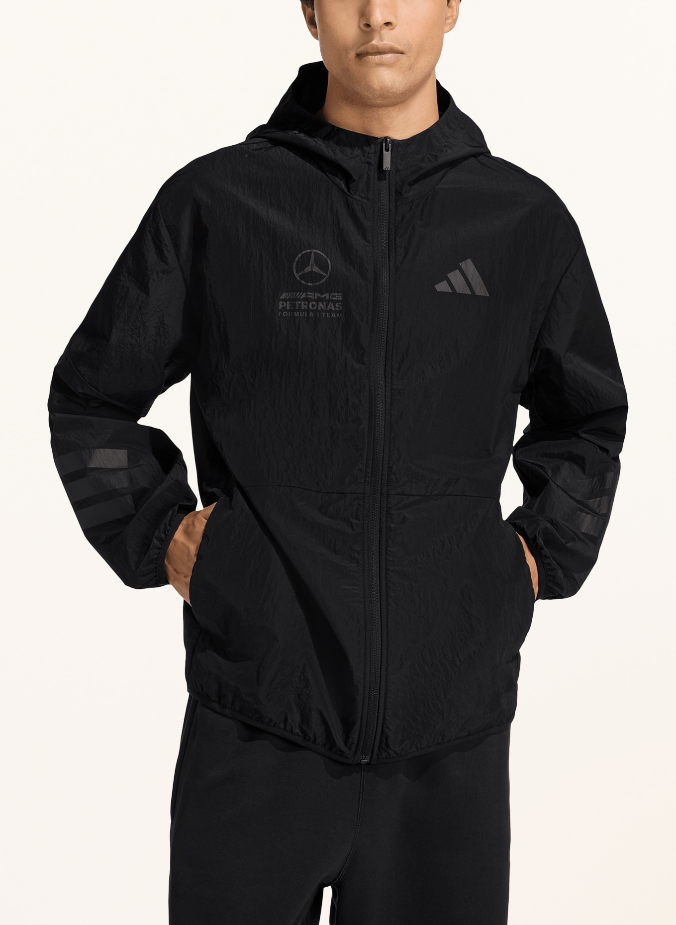 adidas Jacke MERCEDES - AMG PETRONAS FORMULA ONE TEAM: SCHWARZ