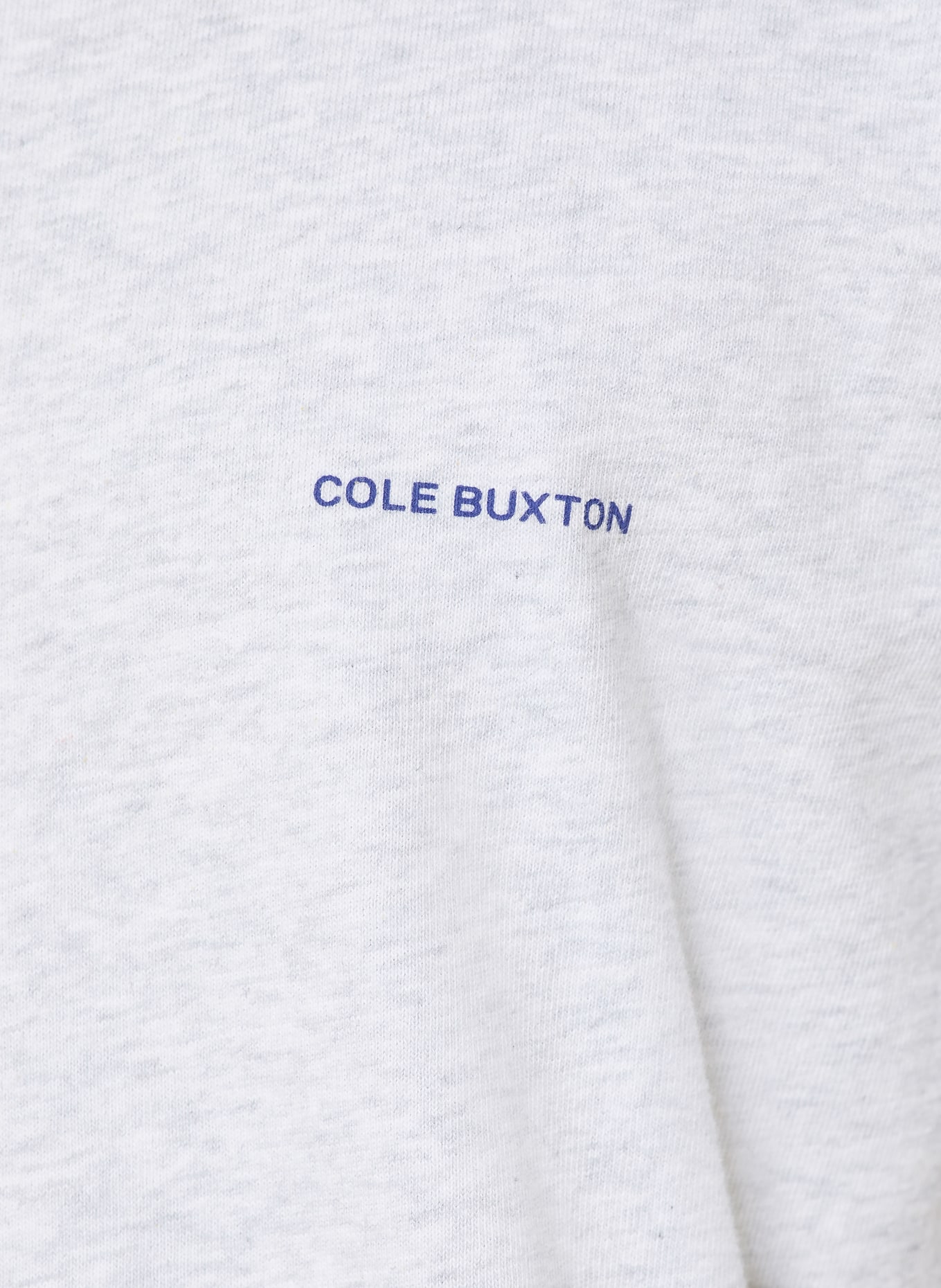 COLE BUXTON T-shirt: LIGHT GRAY