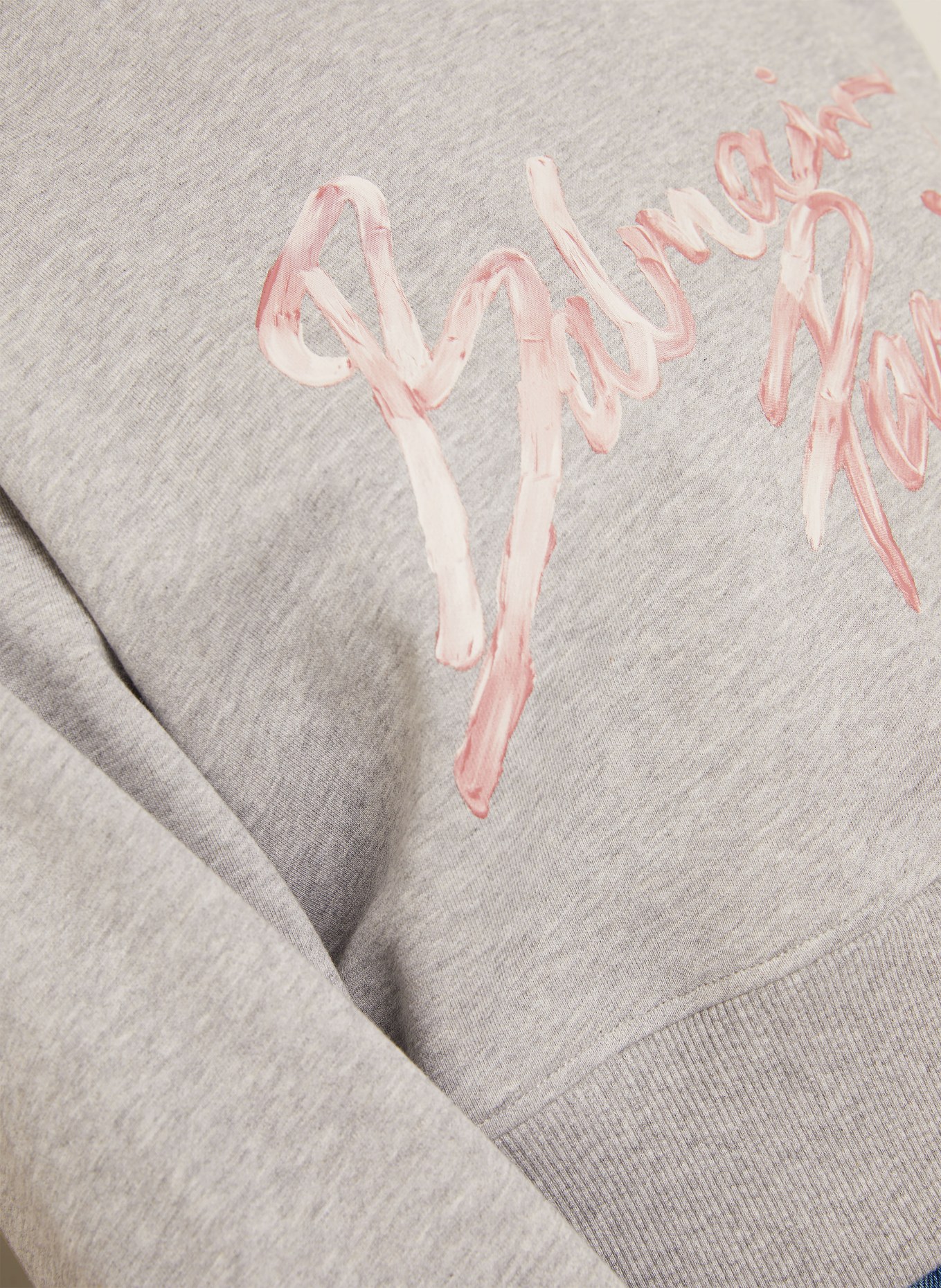 BALMAIN sweatshirt: LIGHT GRAY / ROSE