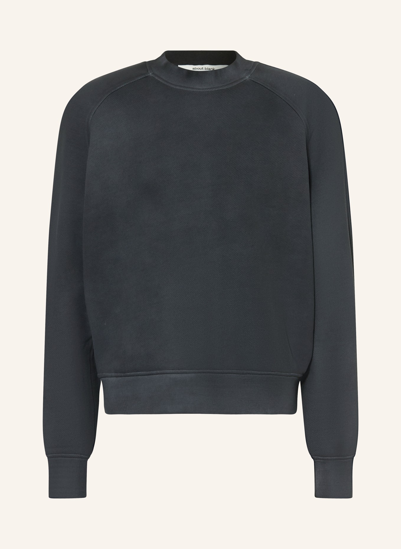 about:blank Sweatshirt: SCHWARZ