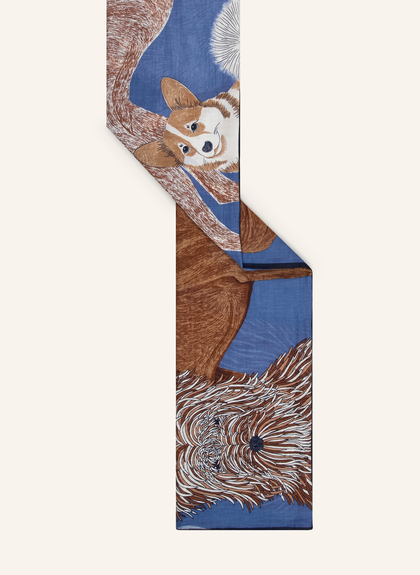 INOUI EDITIONS cloth: BLUE / BROWN / CREAM