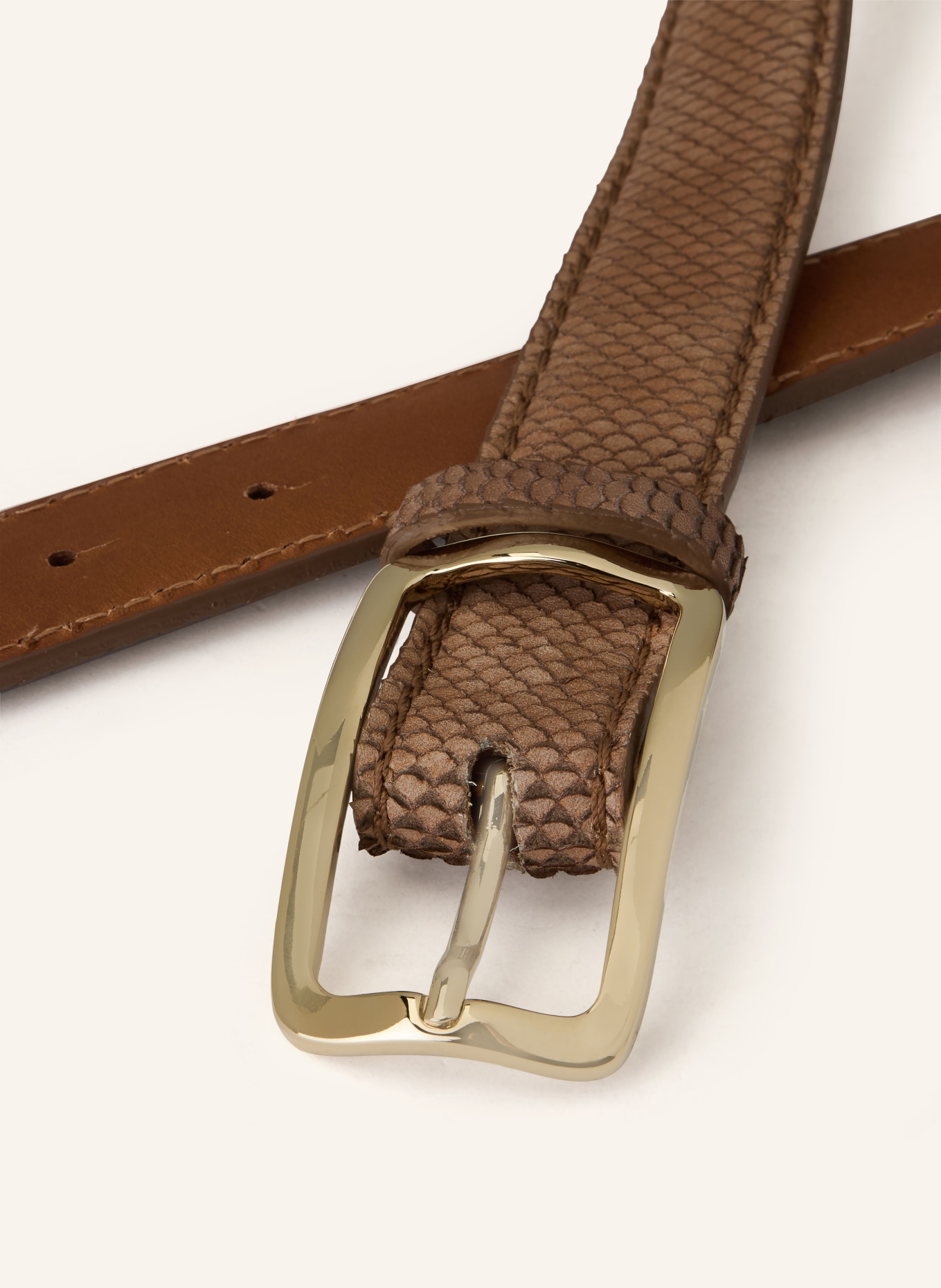 Reptile's House Belt BLIND: LIGHT BROWN / GOLD