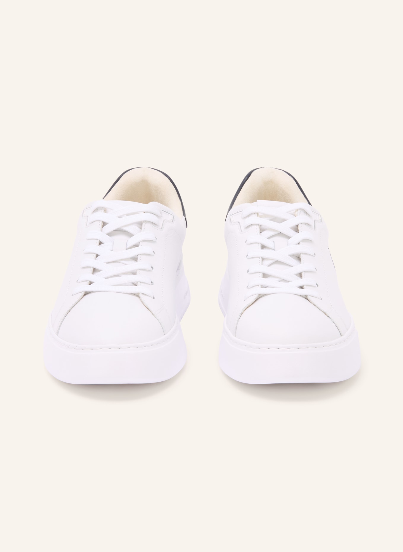 POLO RALPH LAUREN Sneakers: WHITE / DARK BLUE