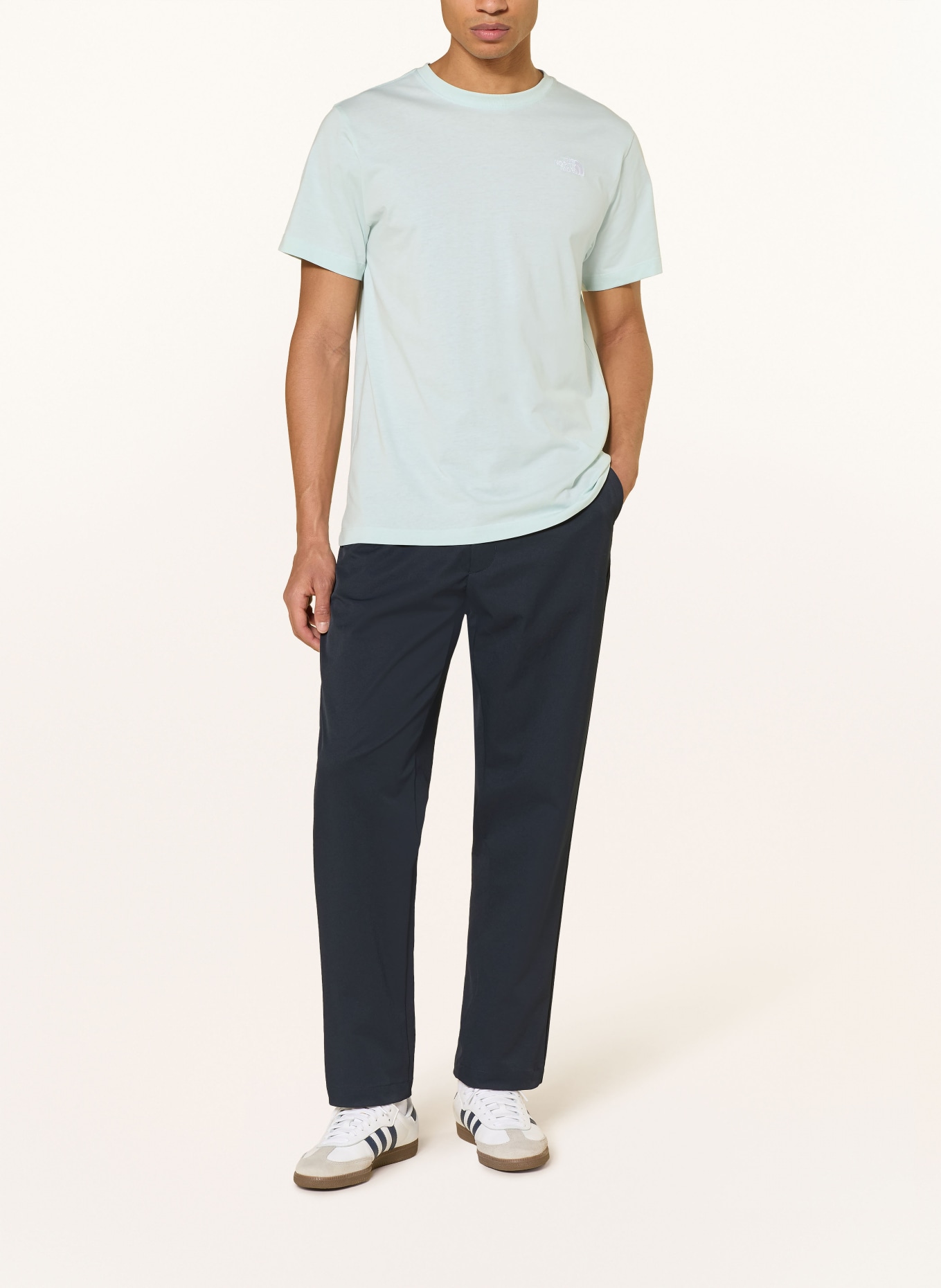 THE NORTH FACE T-Shirt EVOLUTION SIMPLE DOME: MINT