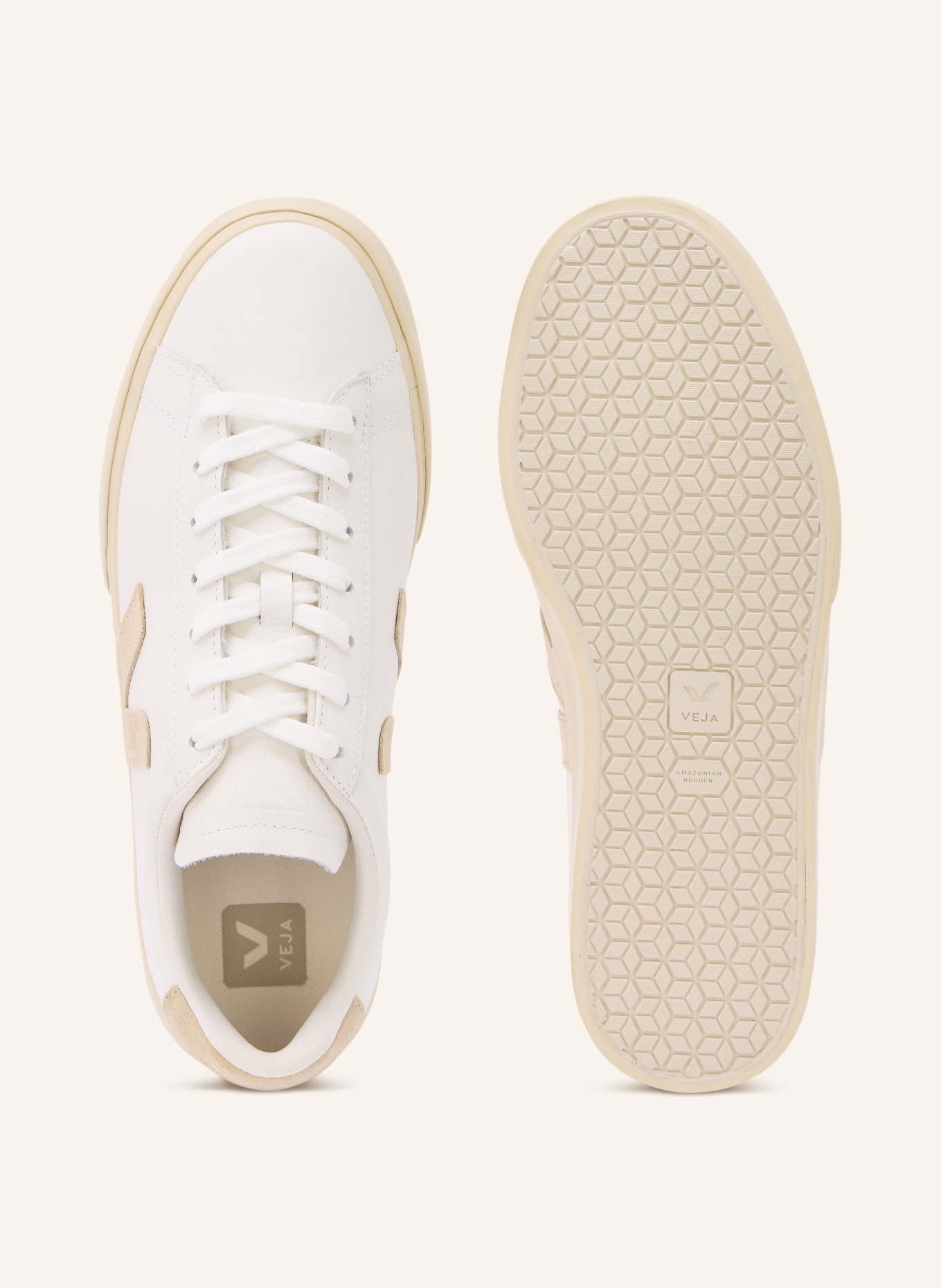 VEJA CAMPO sneaker: WHITE / BEIGE